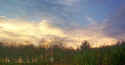 000_2107 copy.jpg (55397 bytes)