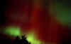 012401-2-e.m..jpg (35367 bytes)