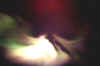 038.jpg (77358 bytes)