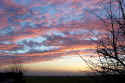 100_0117 copy.jpg (87380 bytes)