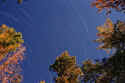 12A copy.jpg (74425 bytes)