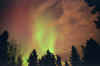 4-11-01-pict5-copy.jpg (65822 bytes)