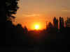 4Img_1847 copy.jpg (32825 bytes)