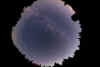 8mmvoil.jpg (37949 bytes)