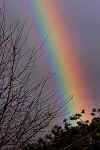 AGRB.jpg (131249 bytes)