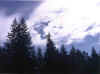Cloudface at Breitenbush.jpg (32399 bytes)