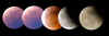ECLIPSECOMP1.jpg (20176 bytes)