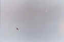 Glide1.jpg (22031 bytes)