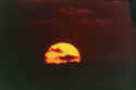 GreenFlash_10A copy.jpg (29600 bytes)