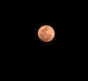 IMG_1805 copy.jpg (15231 bytes)