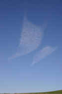 IMG_5064 Cloud Kits.jpg (19441 bytes)