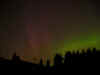 Img_0318 copy.jpg (42665 bytes)