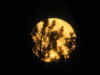 Img_0380 copy.jpg (44699 bytes)
