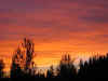 Img_1709 copy 7.2.06.jpg (57313 bytes)