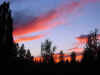 Img_1731 copy 7.10.06.jpg (45630 bytes)