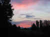 Img_1908 copy.jpg (42896 bytes)