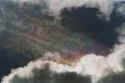 Iris_19.jpg (41190 bytes)