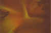 JSSandy0210k.jpg (47005 bytes)