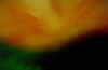 JSSandy03113.jpg (93802 bytes)