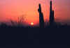 Kofa sunset neg copy.jpg (34884 bytes)