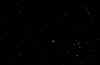 Leonids.jpg (17025 bytes)