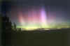 Light in August.jpg (38254 bytes)
