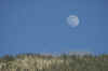 MoonandSnowyRidgeMarch420041.jpg (59979 bytes)