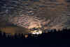 Moonrise copy.jpg (66886 bytes)