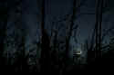 Moonset.jpg (281785 bytes)
