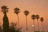 OCEANBEACHSS.jpg (69339 bytes)