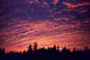 SUNSET12.jpg (61537 bytes)