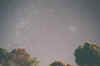 Scan66.jpg (59043 bytes)
