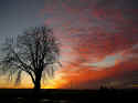 SunsetDecember8200508.jpg (93996 bytes)