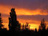 Sunset 6.29.0t.jpg (52609 bytes)
