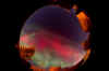 a28oct6.jpg (36762 bytes)