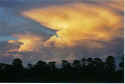 cloudyskies.jpg (48890 bytes)