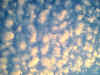 jul27_08 copy.jpg (84705 bytes)