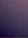 leo2.JPG (23686 bytes)