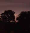 lightning copy.jpg (25679 bytes)