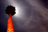 lunarhalo copy.jpg (29159 bytes)