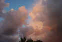 pinkcloud.jpg (40421 bytes)