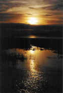 scan0004 copy.jpg (43186 bytes)
