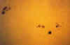 sol.jpg (21814 bytes)