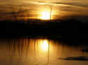 sunsetDic2005 copy.jpg (58235 bytes)