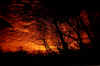 sunset copy.jpg (83934 bytes)