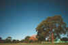 ulvparksx2.jpg (61304 bytes)