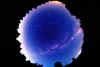 voil8mm.jpg (74114 bytes)